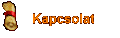 Kapcsolat